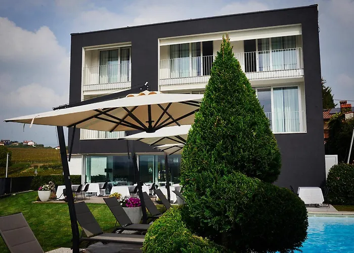 House Iaquin Πανσιόν Dobrovo